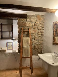 La Casa del Bosque - Cabra de Mora - 1