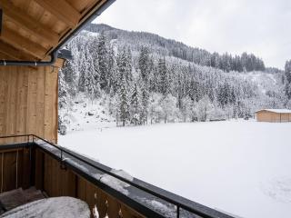Chalet in Saalbach near Ski Lift and Sauna - 4