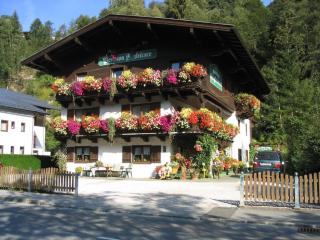Apartment in Saalbach-Hinterglemm near ski area - Saalbach-Hinterglemm - 0