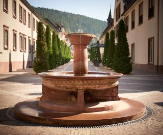 Hotel Therme Bad Teinach - Bad Teinach-Zavelstein - 9
