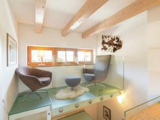Elegant chalet with sauna in Salzburg - Hollersbach im Pinzgau - 1