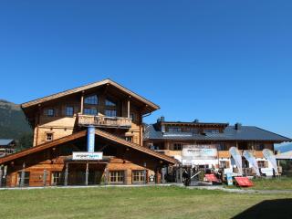 Elegant chalet with sauna in Salzburg - Hollersbach im Pinzgau - 3