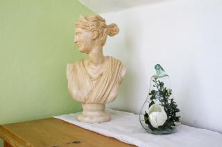 Chiemgau Appartement - Waging am See - 2