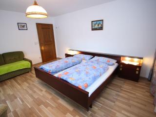 Spacious flat near the ski area in Salzburg - Dienten am Hochkönig - 7