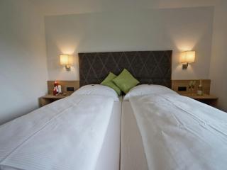 Apartment near the ski area in Mayrhofen - Mayrhofen - 1