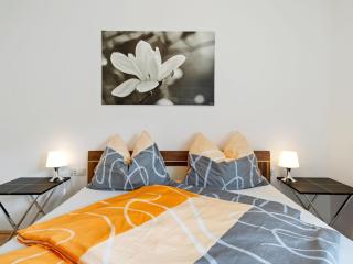 Apartment in Innsbruck near the golden roof - 3
