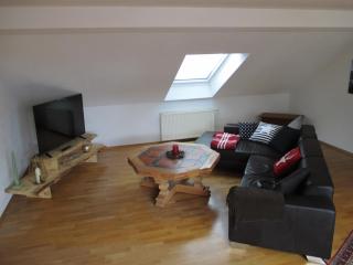 Haus Steininger - Schluchsee - 5