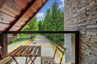 Rezidence Rokytnice - Rokytnice nad Jizerou - 1