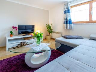 Simplistic Apartment in Piesendorf - Piesendorf - 1