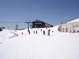 Apartment in Fresach near Ski Slopes - Fresach - 0