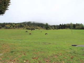 Holiday apartment in Fresach near Millstatt Lake - Fresach - 2
