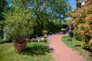 Zsuzsa Apartman - Gyenesdiás - 4