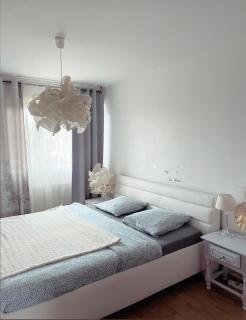 Bel Appartement near Bâle Mulhouse Airport - Saint-Louis - 0