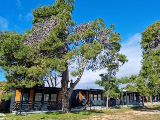 Sand & Relax Privlaka - Mobile home "Lavanda" - 7