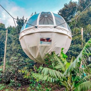 Quinta do Abacate - Glamping Park - 3