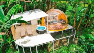 Bajo el Cielo Glamping San Francisco - San Francisco - 1
