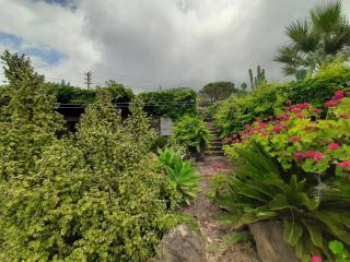 Dammuso nespolo - Pantelleria - 8