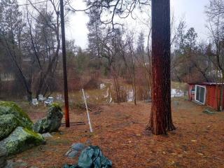 Sleeping Wolf Guest House - 9