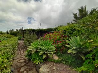 Dammuso nespolo - Pantelleria - 5