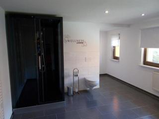 Janos-Ferienwohnung - Friedrichsbrunn - 8