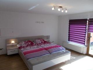 Janos-Ferienwohnung - Friedrichsbrunn - 4