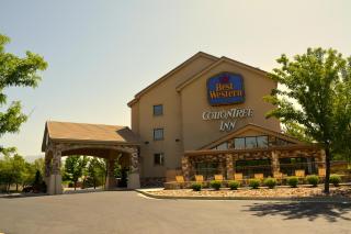 Best Western Plus Cotton Tree Inn - 3
