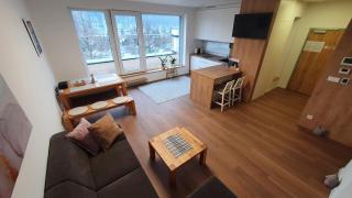 Penthouse apartmán Minerál B-4 - Bardejovské Kúpele - 9
