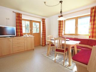 Modern holiday home near the ski area - Maria Alm am Steinernen Meer - 9