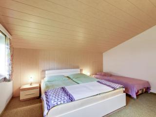 Apartment in Carinthia for 7 people - 6