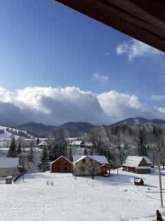 Sadyba Cherry - Pilipets - 1