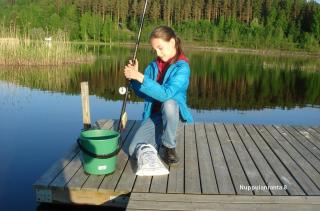 Himos , Nuppulanranta cottage - 8