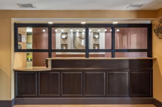 Comfort Inn Biltmore West - Asheville - 7