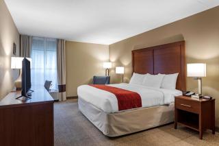 Comfort Inn Biltmore West - Asheville - 6