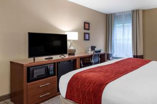 Comfort Inn Biltmore West - Asheville - 5