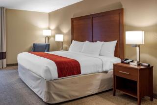 Comfort Inn Biltmore West - Asheville - 4