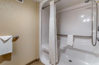 Comfort Inn Biltmore West - Asheville - 2