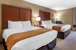 Comfort Inn Biltmore West - Asheville - 1