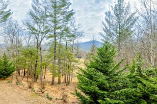 Lucky Clover Cabin - Blairsville - 5