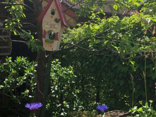 Haus Oberland - Bad Endorf - 5