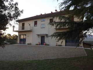 Tenuta i Lecci - Terranuova Bracciolini - 9