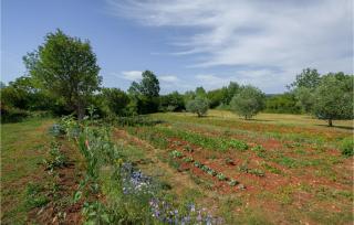 Holiday Home Pazin 07 - Pazin - 6