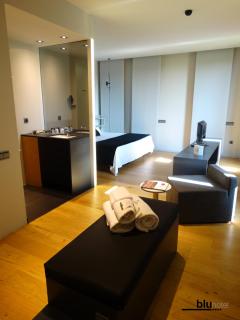 Blu Hotel Almansa - Almansa - 2