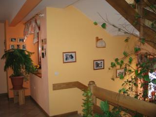 Pensjonat Lotos - Krynica Morska - 5