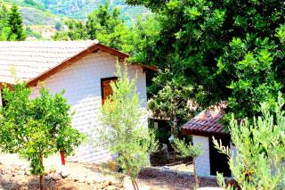 Illusion Beach & ClubHotel - Adults Only - 9