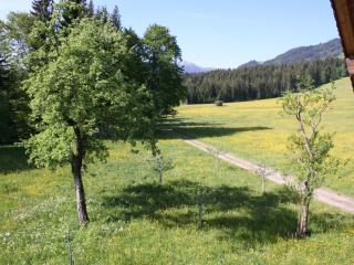 Farmhouse in Hopfgarten in Brixental with garden - Hopfgarten im Brixental - 7