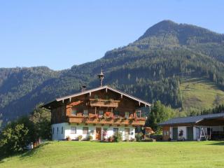 Apartment in Embach, Austria near ski area - Embach - 3
