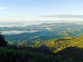 Bel View Guest House - Haputale - 4