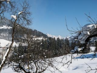 Mansion in Eben near Ski Salzburger Sportwelt - 3