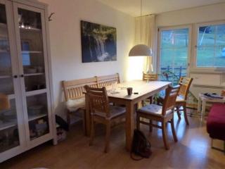 Apartment in the ski area of St Margarethen - Sankt Margarethen im Lungau - 8