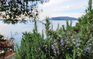 One-Bedroom Holiday Home In Drvenik Veli - Veliki Drvenik (Zirona Grande) - 8